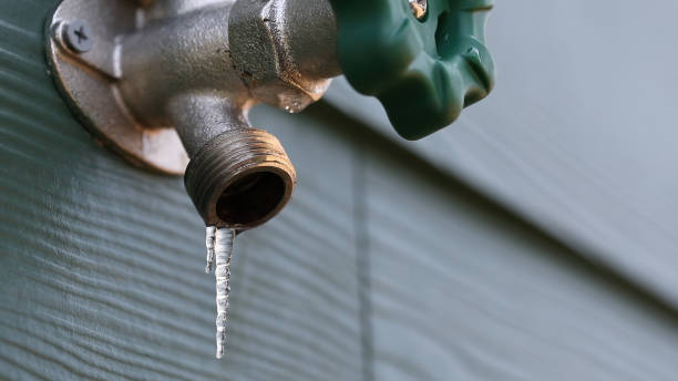 Best Commercial Plumbing Services  in East Jordan, MI